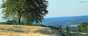 Mountainbike-Rundstrecken illustration