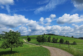 Wandern in und um Birkenau illustration