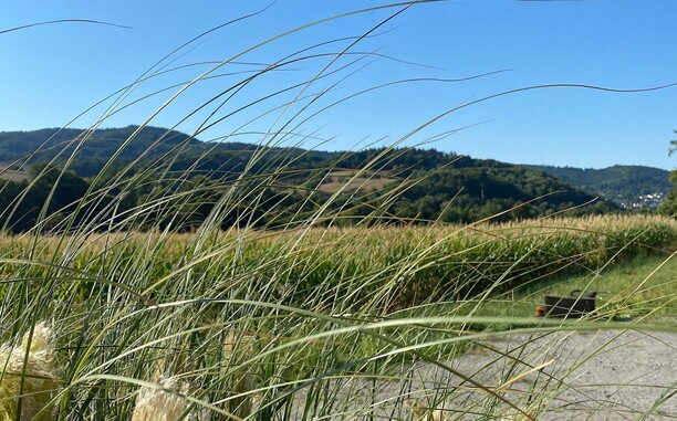Ausblick presentation